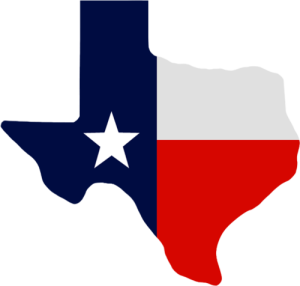 Texas4D Logo